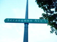 Serangoon Avenue 1 #107562